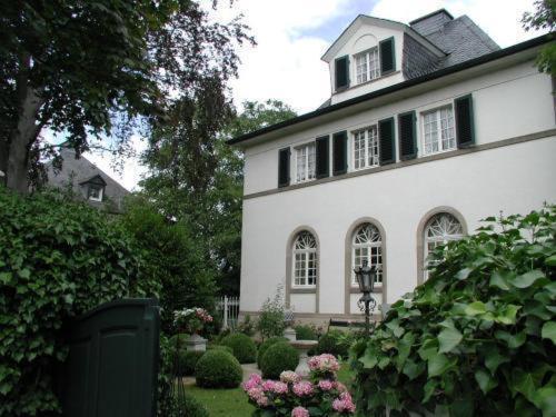 ホテル Bastgen Bed & Breakfast ヴィットリッヒ エクステリア 写真